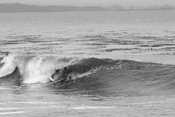 IMAGE: http://img.photobucket.com/albums/v333/surfkahakai/Surfing/20080909_point003.jpg