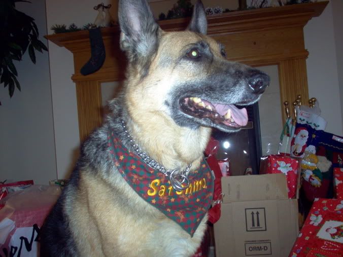 Image hosting by Photobucket