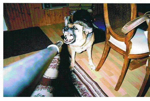 Photobucket - Video and Image Hosting