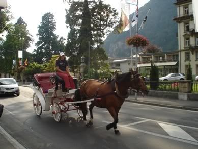 Horsewoman riding horse wagon