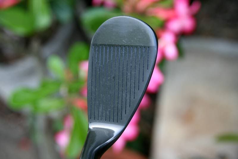 V2Wedge019.jpg