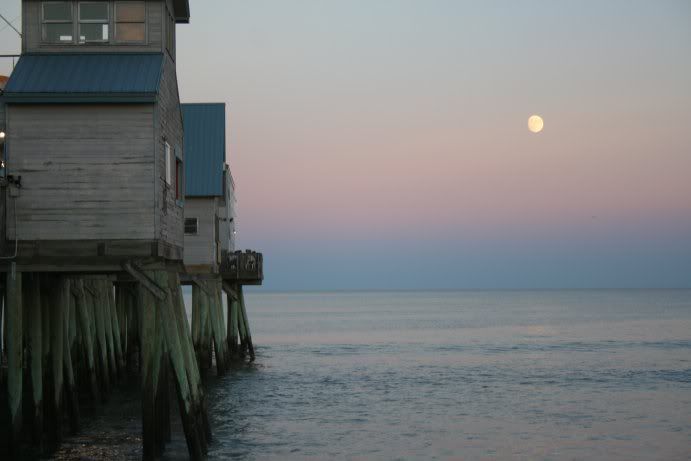 IMAGE: http://img.photobucket.com/albums/v334/runnerdrex/SLR/moon.jpg