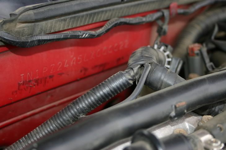 Image hosted by Photobucket.com