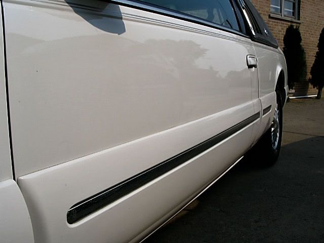 ava9.jpg