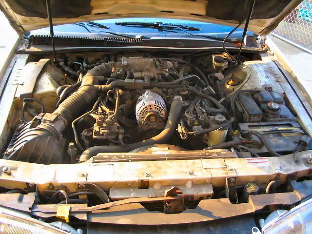 avaenginebefore.jpg