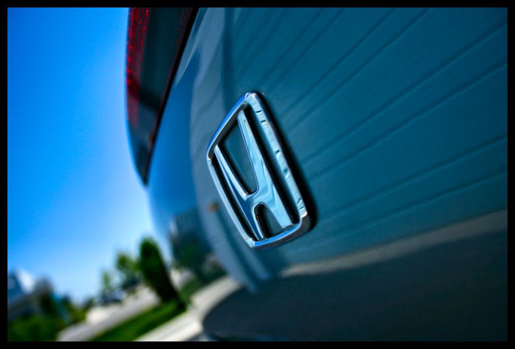s20009.jpg