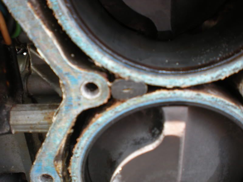 DSCN1552.jpg