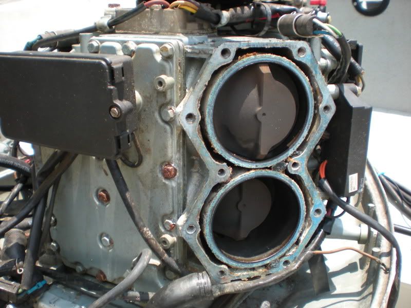 DSCN1554.jpg