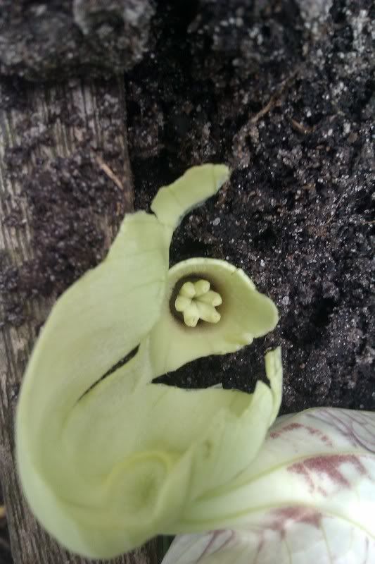 IMAG0439.jpg