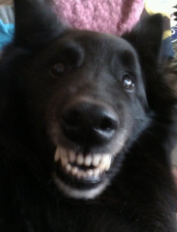 smillleeee.jpg