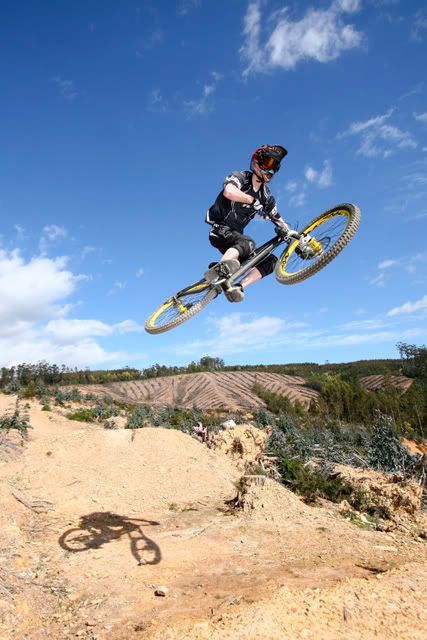 IMAGE: http://img.photobucket.com/albums/v335/sifrench/IMG_4246.jpg