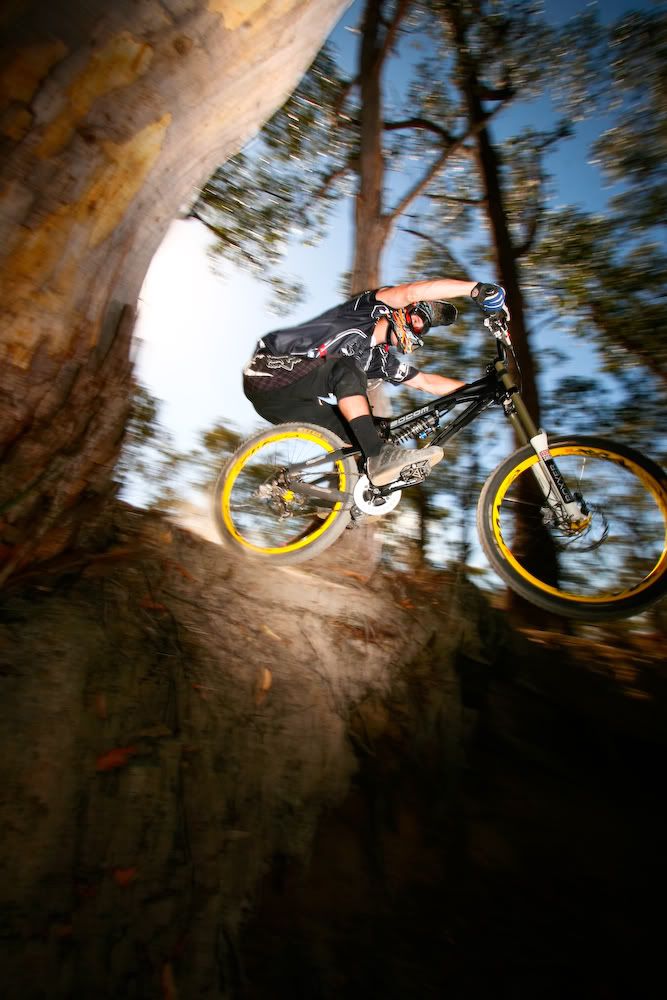 IMAGE: http://img.photobucket.com/albums/v335/sifrench/IMG_4721.jpg