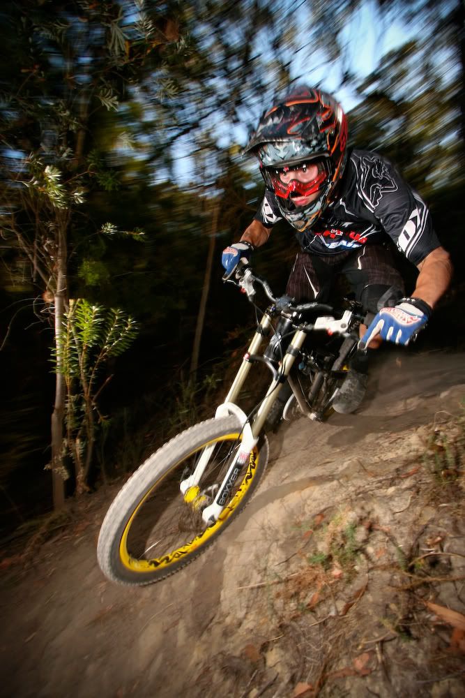 IMAGE: http://img.photobucket.com/albums/v335/sifrench/IMG_4761.jpg