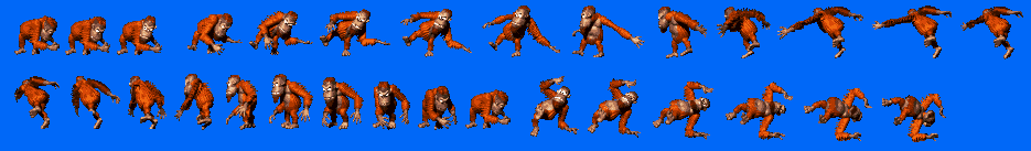 [Image: DKC_MankyKong.png]