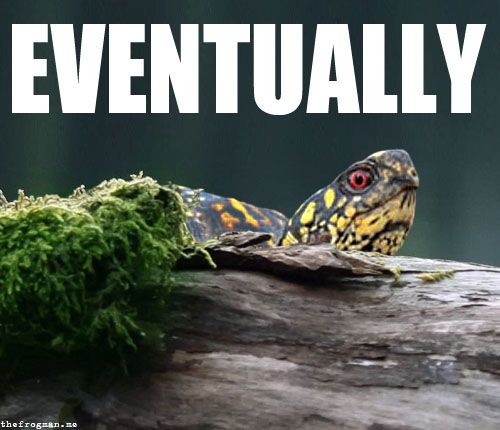 funny-soon-meme-turtle-tortoise.jpg
