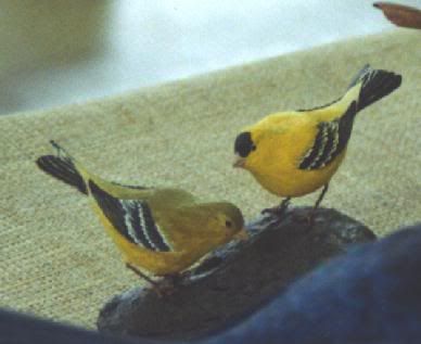 GoldfinchesPair.jpg