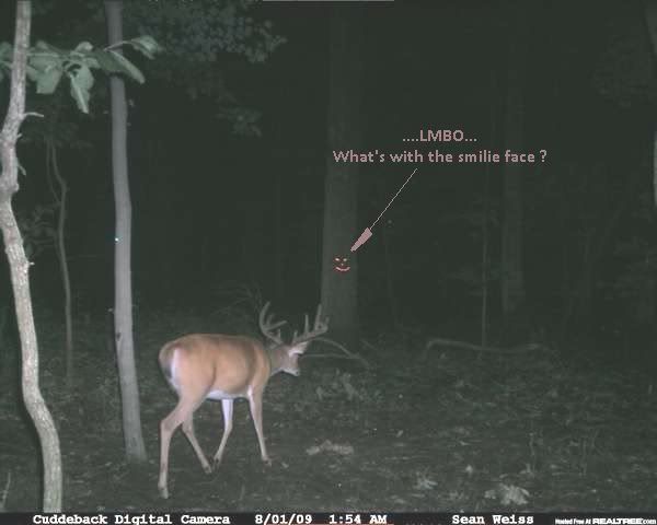 deer118.jpg