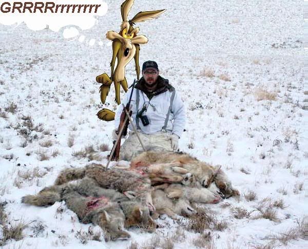 sureshotandWcoyote.jpg