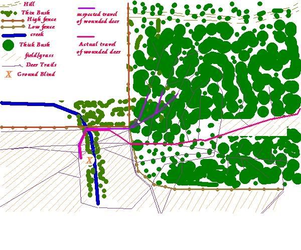 trackingdeer.jpg