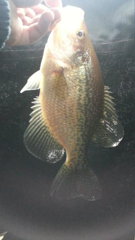 20141130_104236.jpg