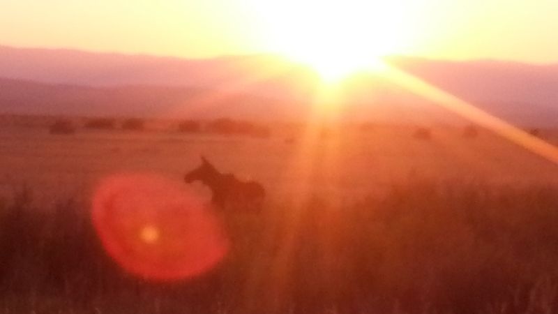 20150825_01.jpg