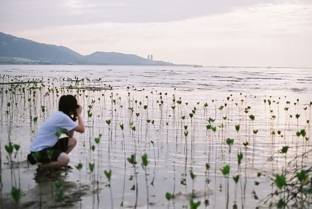 F1080021.jpg picture by kerichong