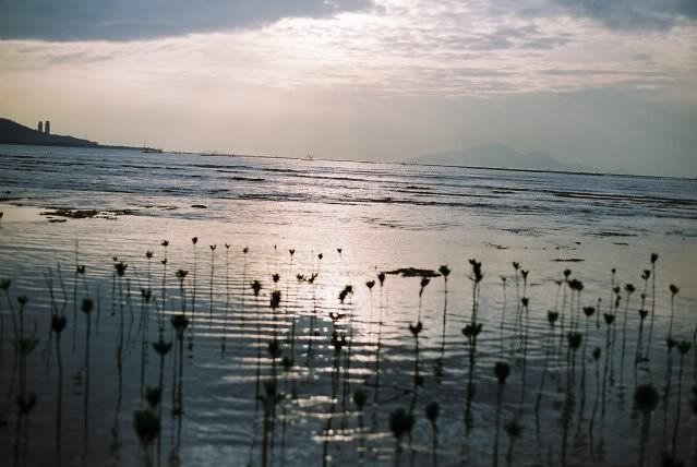 F1080022.jpg picture by kerichong