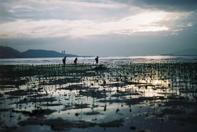 F1080027.jpg picture by kerichong