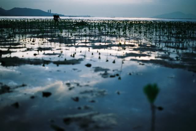 F1080028.jpg picture by kerichong