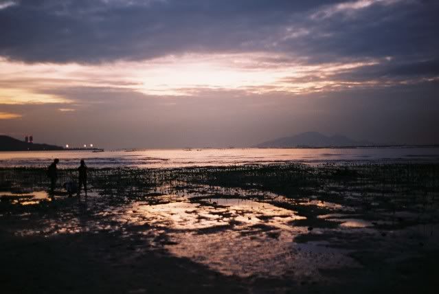 F1080030.jpg picture by kerichong