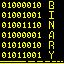 Picture of B1nArY_001