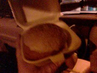 Image hosted by Photobucket.com