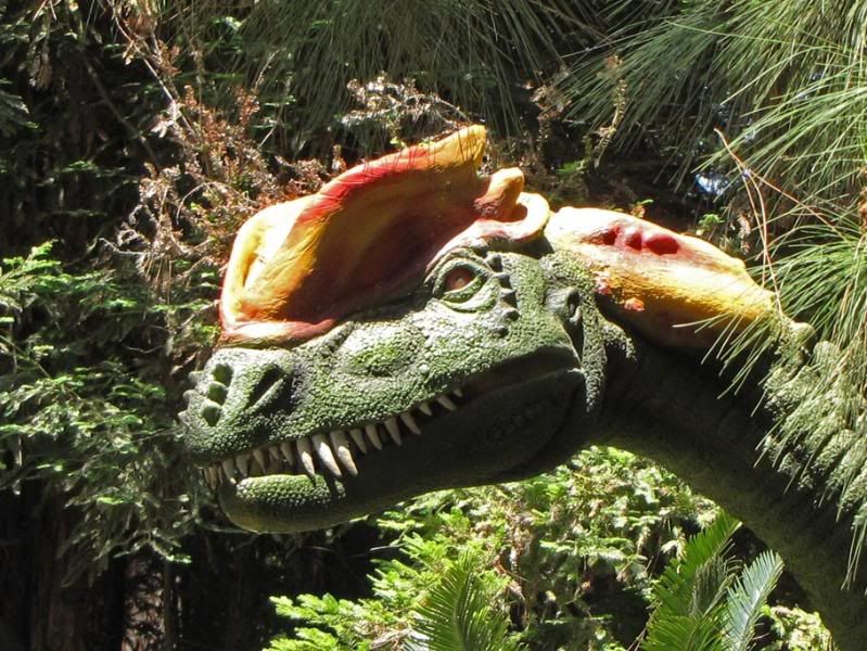 IMAGE: http://img.photobucket.com/albums/v338/Litespeed/Wild%20Animal%20Park%20June%2018%202009/IMG_0855.jpg