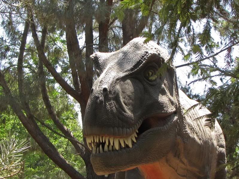 IMAGE: http://img.photobucket.com/albums/v338/Litespeed/Wild%20Animal%20Park%20June%2018%202009/IMG_0865.jpg