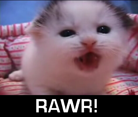rawr9wb.png