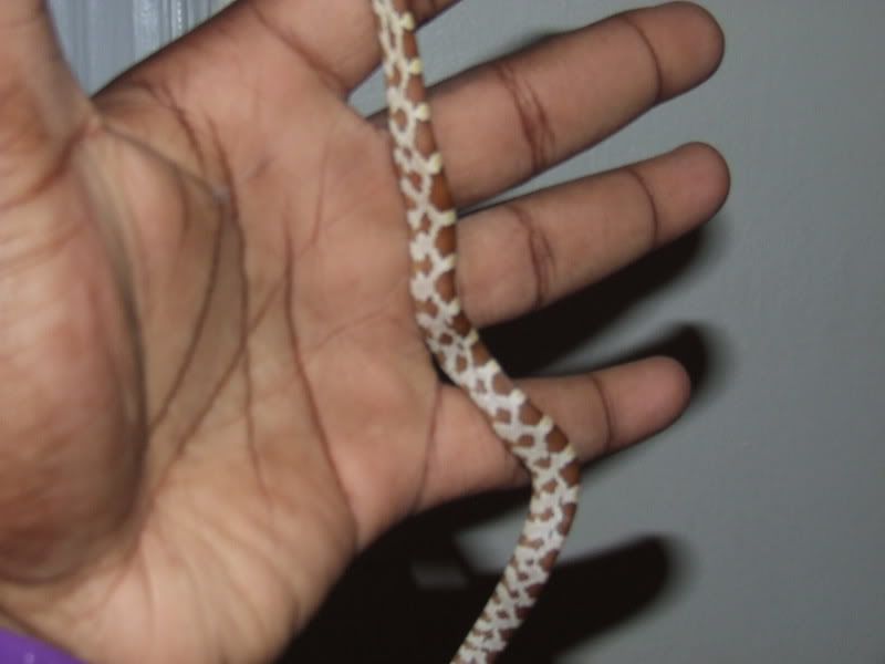 DSCF2384.jpg