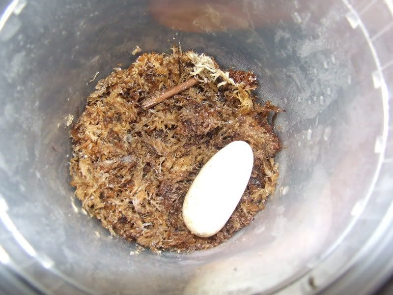 DSCF2394.jpg