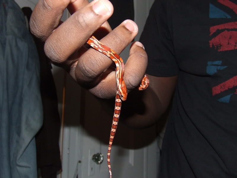 DSCF2395.jpg