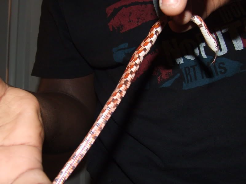 DSCF2396.jpg