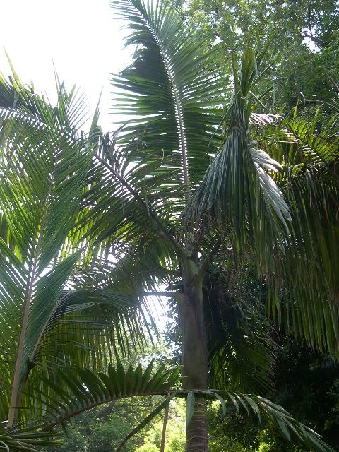 Image hosted by Photobucket.com