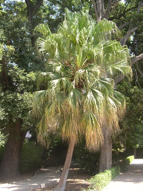 Image hosted by Photobucket.com