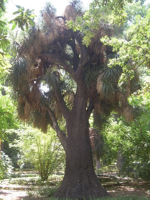 Image hosted by Photobucket.com