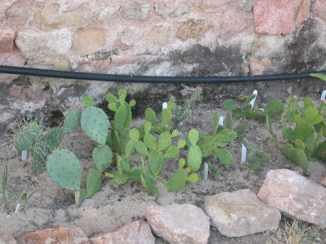 Image hosted by Photobucket.com