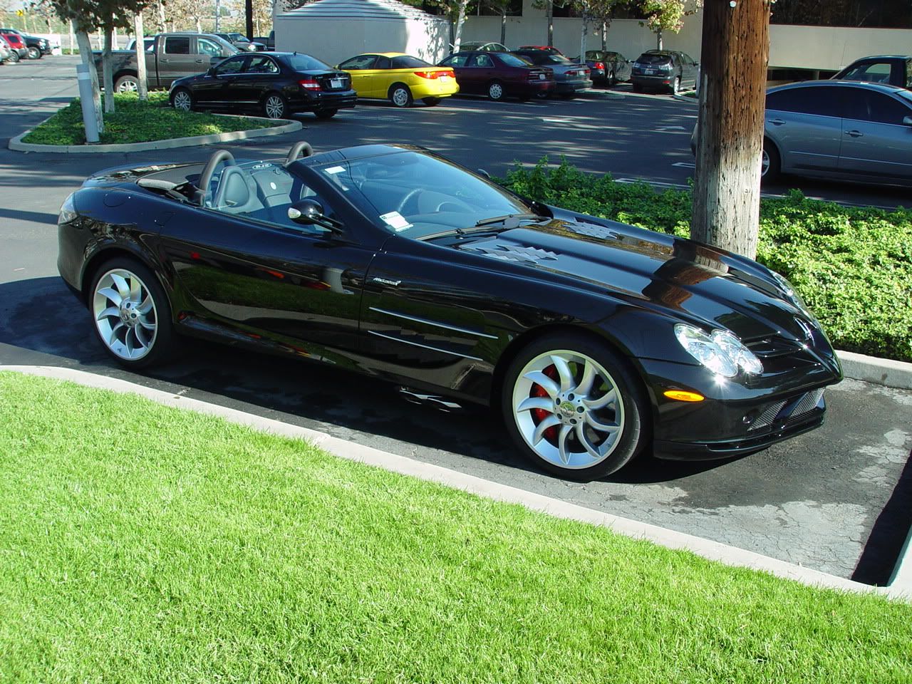SLR004.jpg