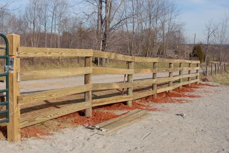 Fence.jpg