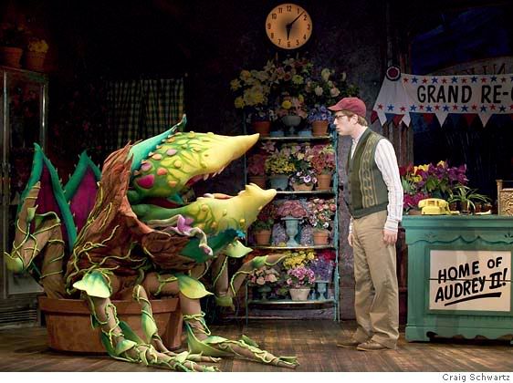 re: Little Shop of Horrors 2003 pictures