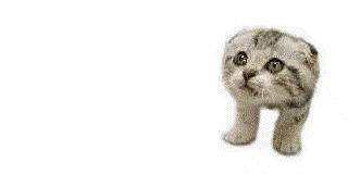 ahhh1un8.gif