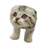 ahhh2.gif