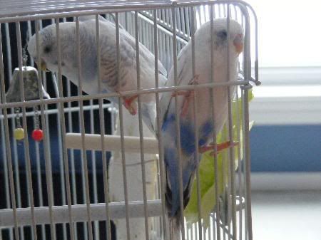 2008_0318cameranew0022.jpg