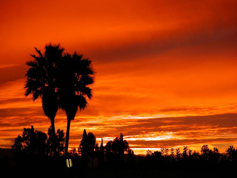 sunset0002.jpg